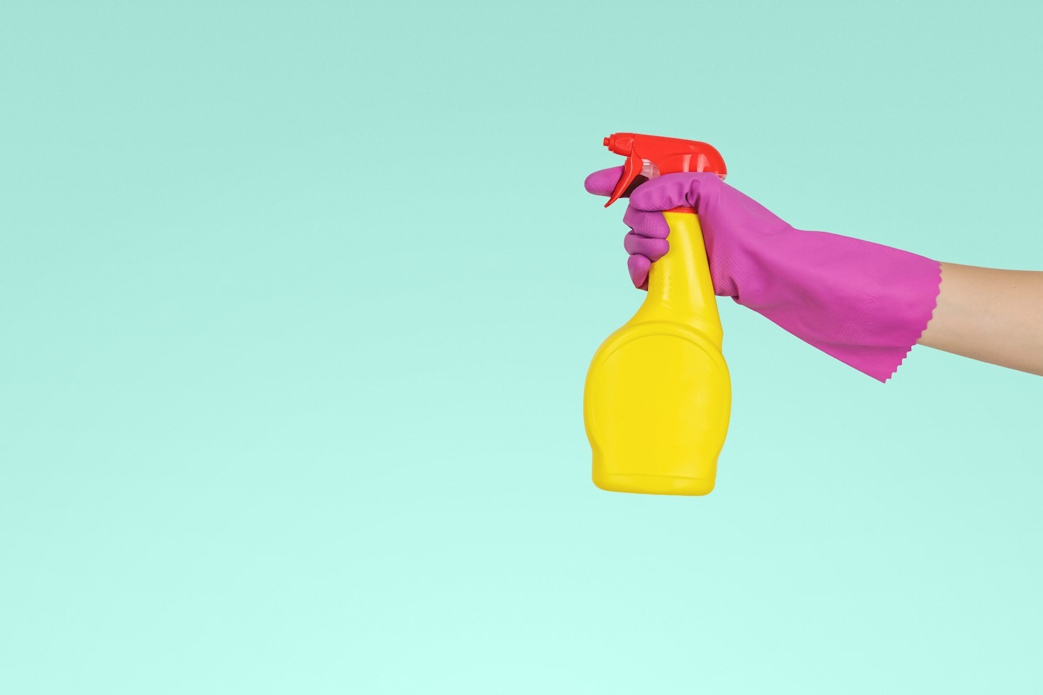 Exploring the Latest in Cleaning Trends